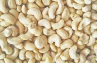 Hạt Điều Xuất Khẩu Việt Nam – Thương Hiệu Đã Được Khẳng Định Trên Trường Quốc Tế