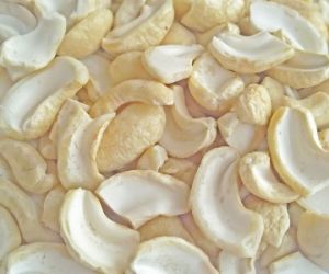 Điều nhân trắng LP